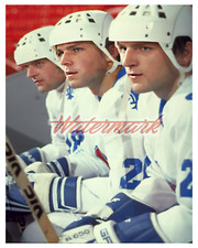 NHL Quebec Nordiques Anton Peter & Marian Stastny Color 8 X 10 Photo Picture