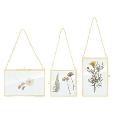 9pcs Brass Glass Frame for Pressed Flowers, Metal Hanging Display Frame Gold