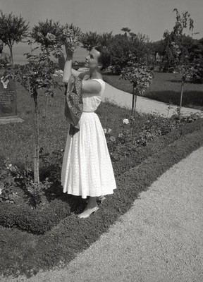 The British actress Claire Bloom is admiring roses of a public par- Old Photo