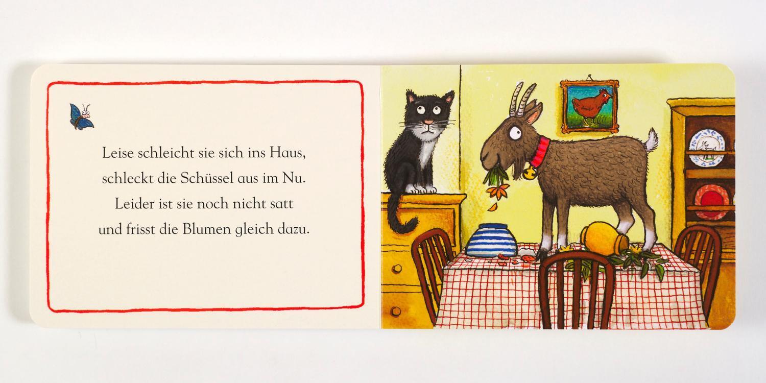 Thumbnail - Zick Die Ziege | Vierfarbiges Pappbilderbuch | Axel Scheffler | Buch |