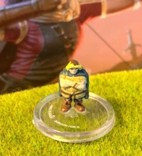 Bobby D&D Miniature Dungeons Dragons Wild Beyond Witchlight barbarian 13 npc Z