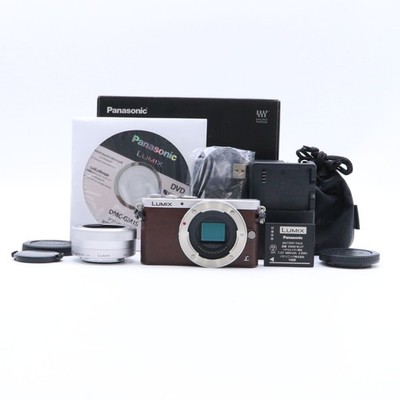 Panasonic LUMIX DMC-GM1S w/ G 12-32mm lens Shuttercount 203 [Near