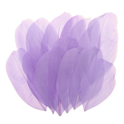 80 Pcs Light Purple Craft Goose Feathers 2-3.1 Inch Feathers Bulk for Crafting