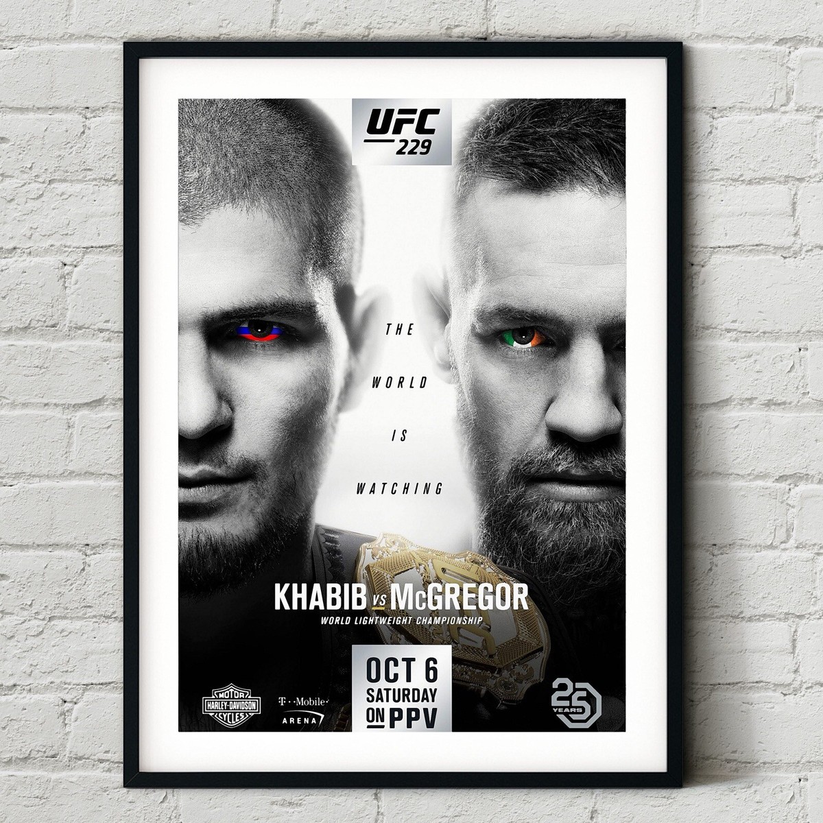 UFC 229 Khabib Nurmagomedov vs Conor McGregor Fight Poster Wall