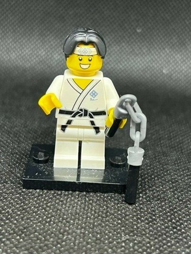 LEGO MINIFIGURES Multiple Series - You pick - Picture 13 of 25