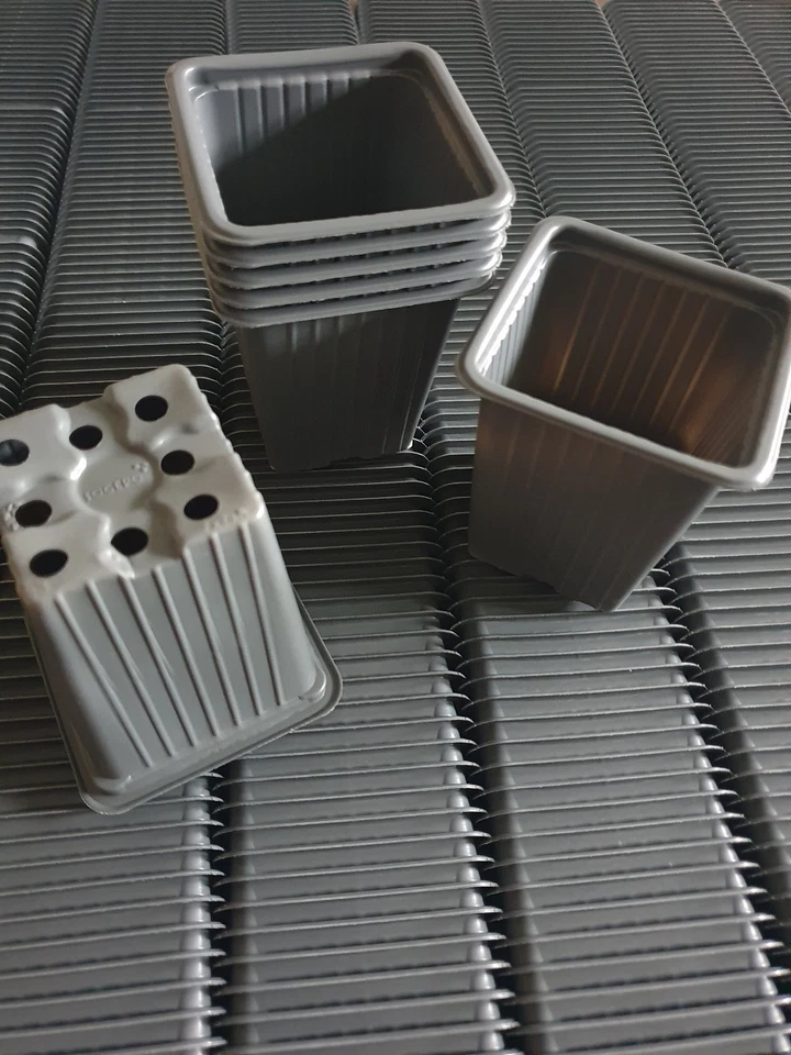 Godets plastiques 7x7x8cm x500 NEUF semis jardin - Photo 1/1
