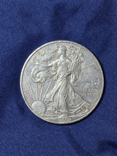 2009 American Silver Eagle $1 Coin 1oz .999 Fine Silver BU Bullion US