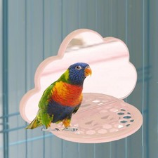 Parrot Bird Mirror Toy Fun Parrot Mirror Toy for Parakeet African Grey Macaw