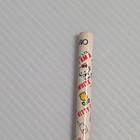 Sanrio Vintage 1976 Hello Kitty 4 7 inch Wood Pencil Set with Plastic Case — photo 6