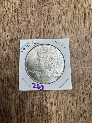 1 Troy Ounce .999 Fine Silver Round – Peace Dollar Tribute style vintage toned