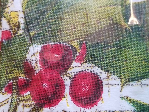Cypress Christmas 40 Holly Berry Music Sheet 3 Ply Cocktail Paper Napkins NEW