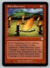 MTG Magic: The Gathering Apocalypses Raka Sanctuary Uncommon Red 67/143