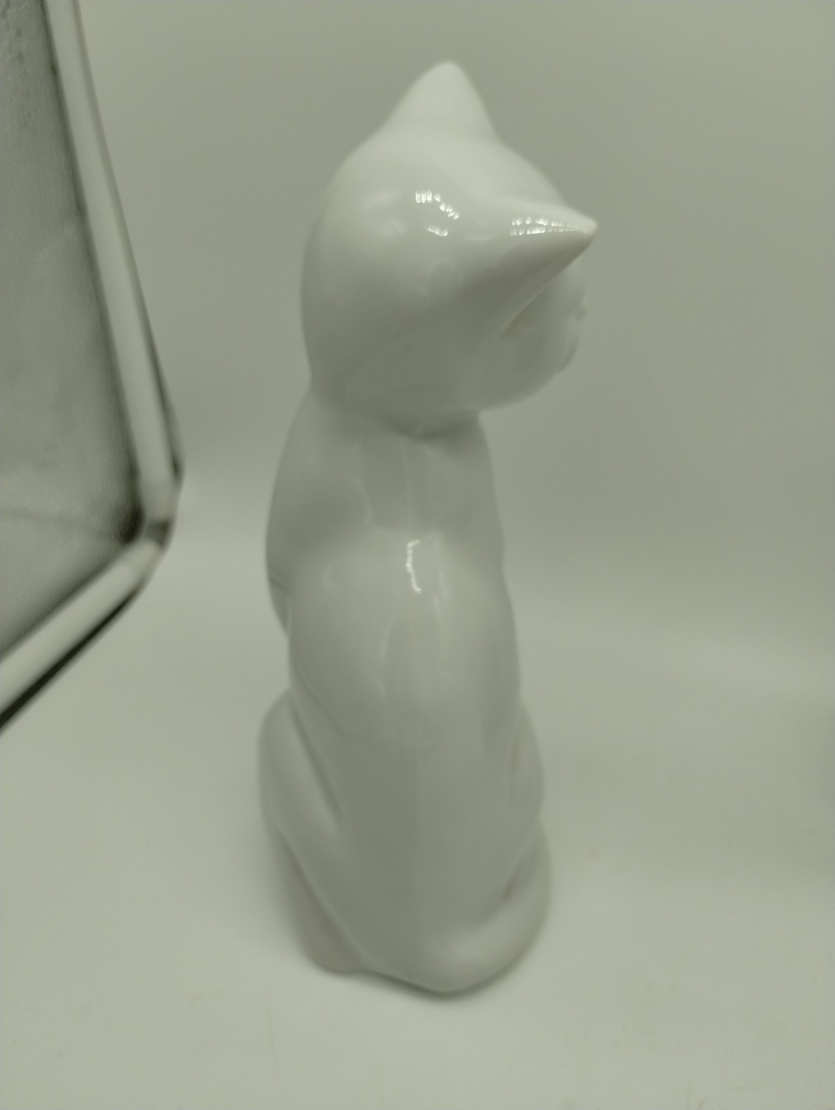 Foto 7 di 12