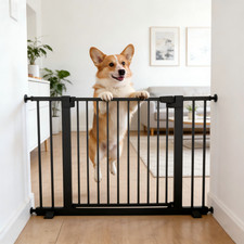Freestanding Folding Arc Wooden Pet Gate Dog Gate for Doorways Stairs