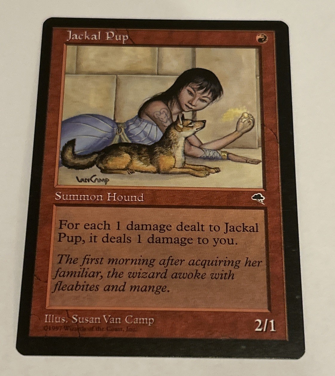 JACKAL PUP uncommon TEMPEST Magic the Gathering Near Mint NM MJ 1997 MTG Camp 
