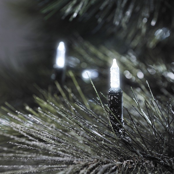 Led Mini-Lichterkette 40Er Kaltweiß / GrüN Aussen Konstsmide 6004-200-image