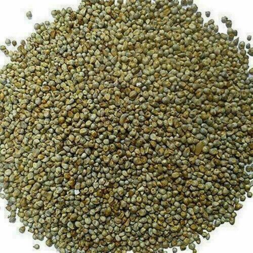 Bajra Grain Kambhu Pearl Millet Whole Grain Freshly Pack Bajara 50gm - Picture 1 of 3