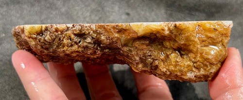 Horse Canyon Moss Agate Faced Rough - California - Picture 2 of 5