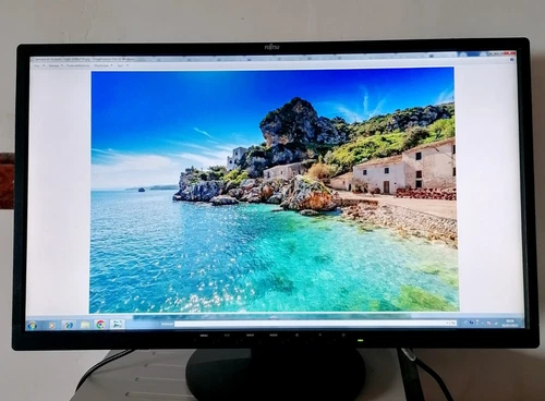 Monitor FUJITSU E24-8 TS Pro 23,8"