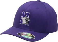 Northwestern Wildcats Flex Fit Hat Purple N Cat