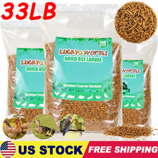 33LB Non-GMO Dried Black Soldier Fly Larvae Chicken Birds Reptiles Natural Treat