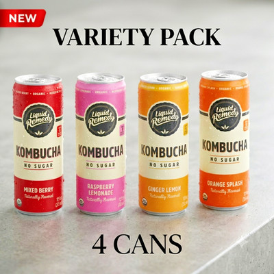 Organic Kombucha Variety Pack   4 Cans, 12 oz Each FAST SHIP!!!