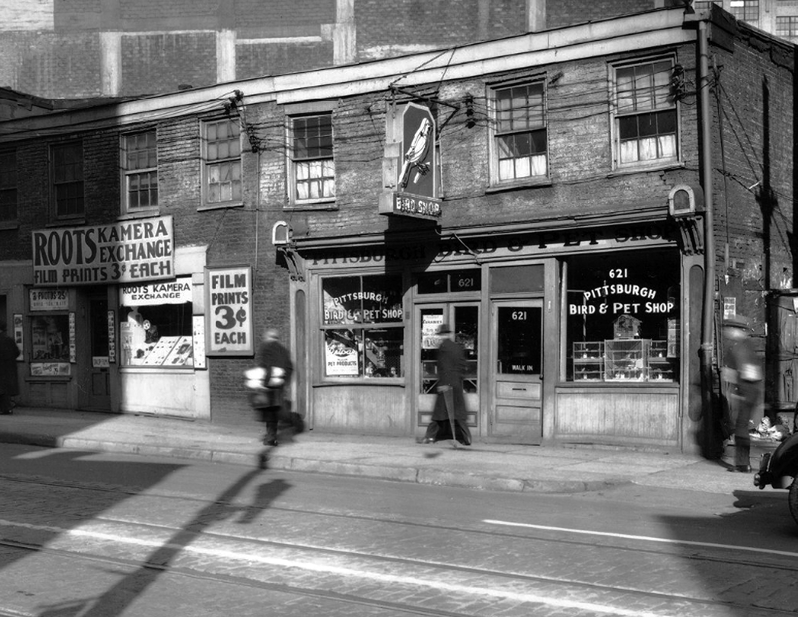 1938 Pittsburgh PA Pet and Camera Shops Vintage Photo Reprint 8.5x11-image