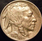 1923-P Buffalo Nickel Choice Original AU Full Horn