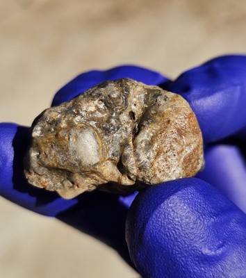 Meteorite**Touat 008, Lunar Troc. Melt Breccia**23.407 gram, Extremely Rare!!  