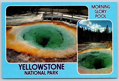 Postcard Yellowstone National Park Wyoming Morning Glory Pool 1987