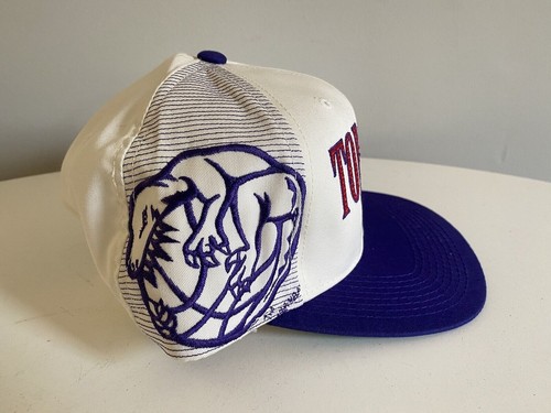 Deadstock Vintage Toronto Raptors Snapback Hat Sports Specialties Nike NBA - Picture 2 of 9