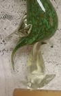Picture 12 of 13