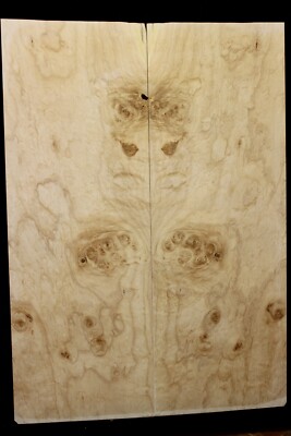 Silver maple, burl / lace figured guitar book matched top.