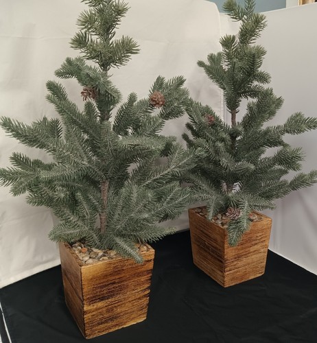 Artificial Pine Trees (Set) in Wood Box 27" Clean Unlit Natural Frost Pre-owned - Picture 2 of 13