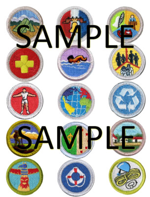 Eagle Scout Merit badges 15 per sheet 2'' size edible, icing sheet cake cupcake