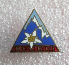 Romania Heavy Brass Enamel Pin Badge -  turism, mountaineering, Edelweiss Bucegi