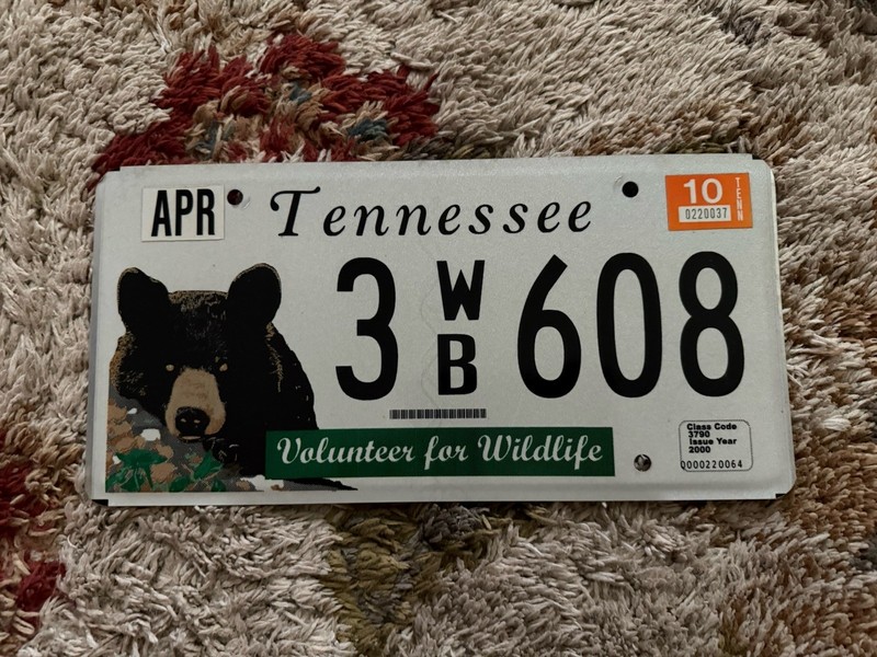 Tennessee Volunteer for Wildlife Black Bear Specialty License Plate