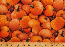 Cotton Pumpkins Fall Autumn Thanksgiving Harvest Time Fabric Print BTY D514.32
