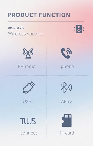 Rechargeable Wireless Bluetooth Speaker With FM Radio USB AUX & Micro SD Option - 第 6/7 張圖片