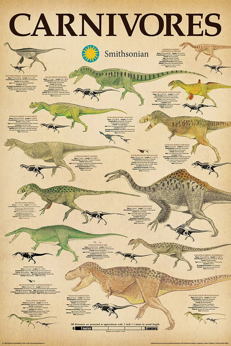 DINOSAURS CARNIVORES POSTER (61x91cm) EDUCATIONAL PICTURE PRINT WALL CHART  ART