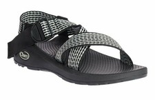 chaco sprink pine