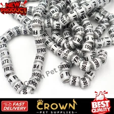 50 Pcs Pigeon Leg Bands Rings With Word Earrings Quality Durable White Color