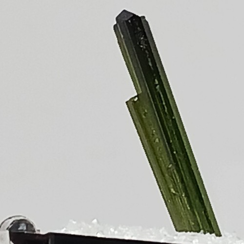 Grüner Turmalin Edelstein Kristall Mineral Minas Gerais Brasilien 1,25" Vitrine - Bild 2 von 16