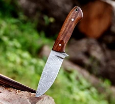 Custom Hand Made Forged Damascus Steel Fix Blade Hunting Knife Wood Handle 2903