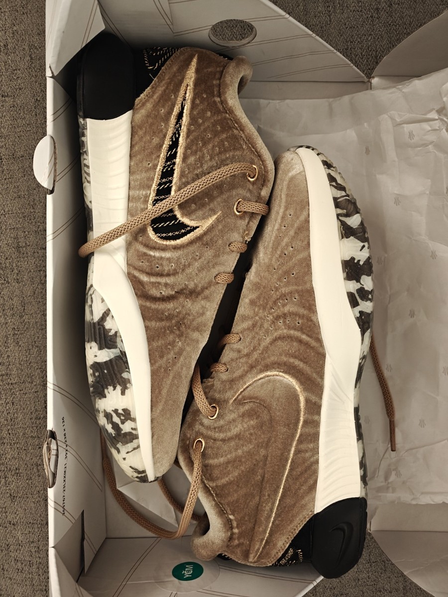 Nike LeBron 21 QS \