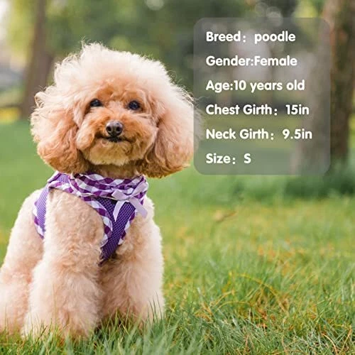 Dog Harness for Puppy and Small New XS(CHEST 12.8"-14.8", 3-9 lbs) Purple