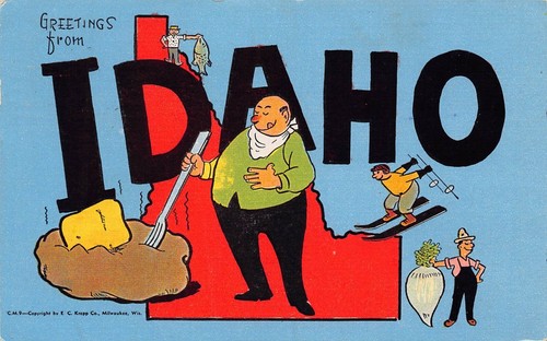 1948 Idaho Ausweis Grüße aus Großbrief Chrom 14619-CM.9 Postkarte