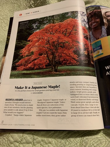 SOUTHERN LIVING MAGAZINE September 2019 Southern Strong Woman Octavia Spencer - Bild 9 von 12