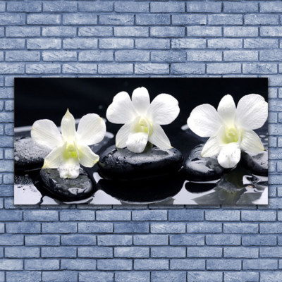 Acrylglasbilder Wandbilder aus Plexiglas  140x70 Blumen Steine Pflanzen