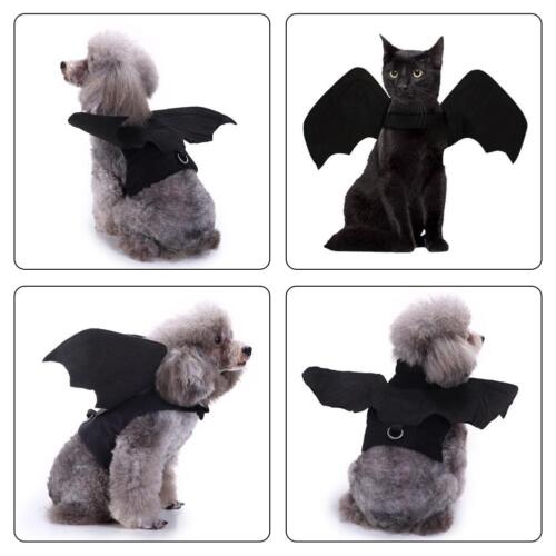Pet Products Cat Kitten Puppy Dog Halloween Bat Wing Costume Clothes 9CU3 - Foto 1 di 11